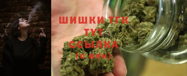 молекула духа Бронницы