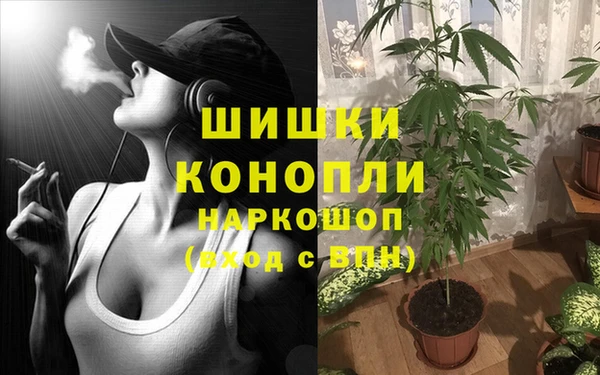 винт Богородск
