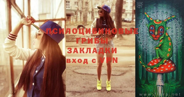 spice Белоозёрский