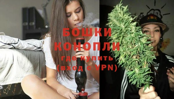 ALPHA PVP Белокуриха